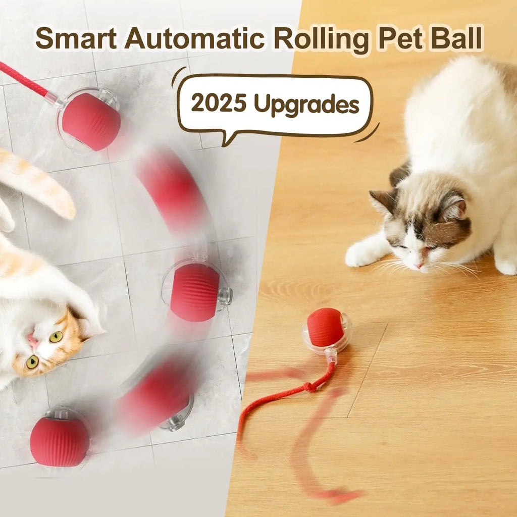 Interactief kattenspeelgoed