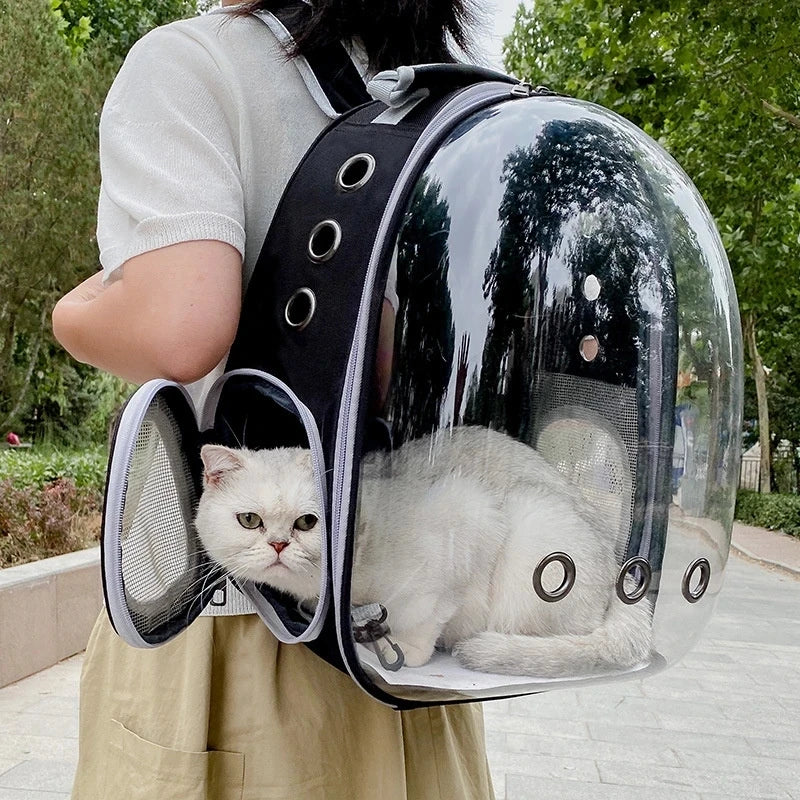 Cat Carrying backpack