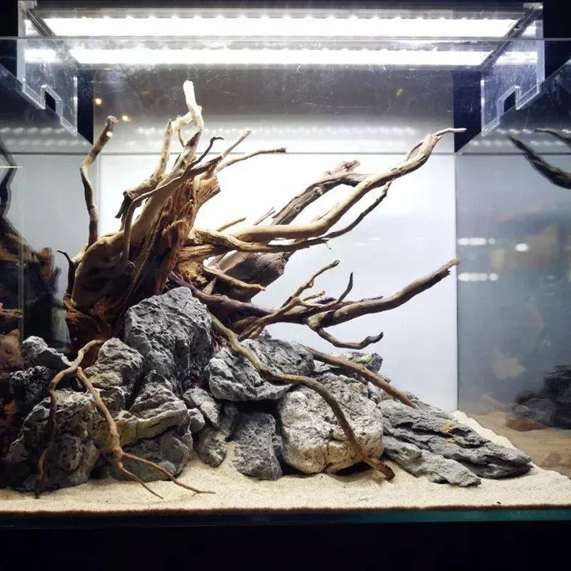 Vis Tank Decoration
