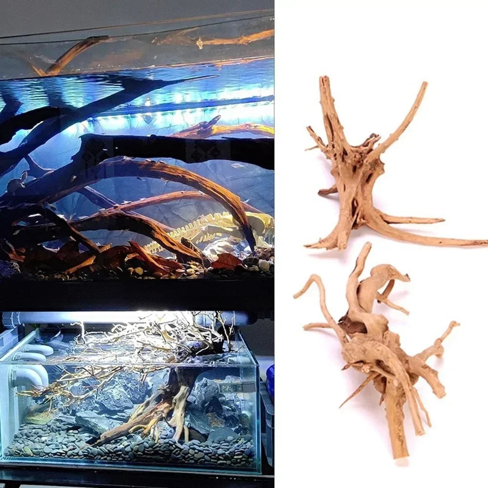 Vis Tank Decoration