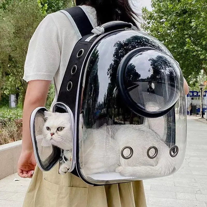 Cat Carrying backpack
