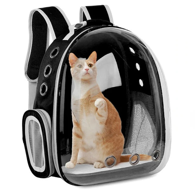 Cat Carrying backpack