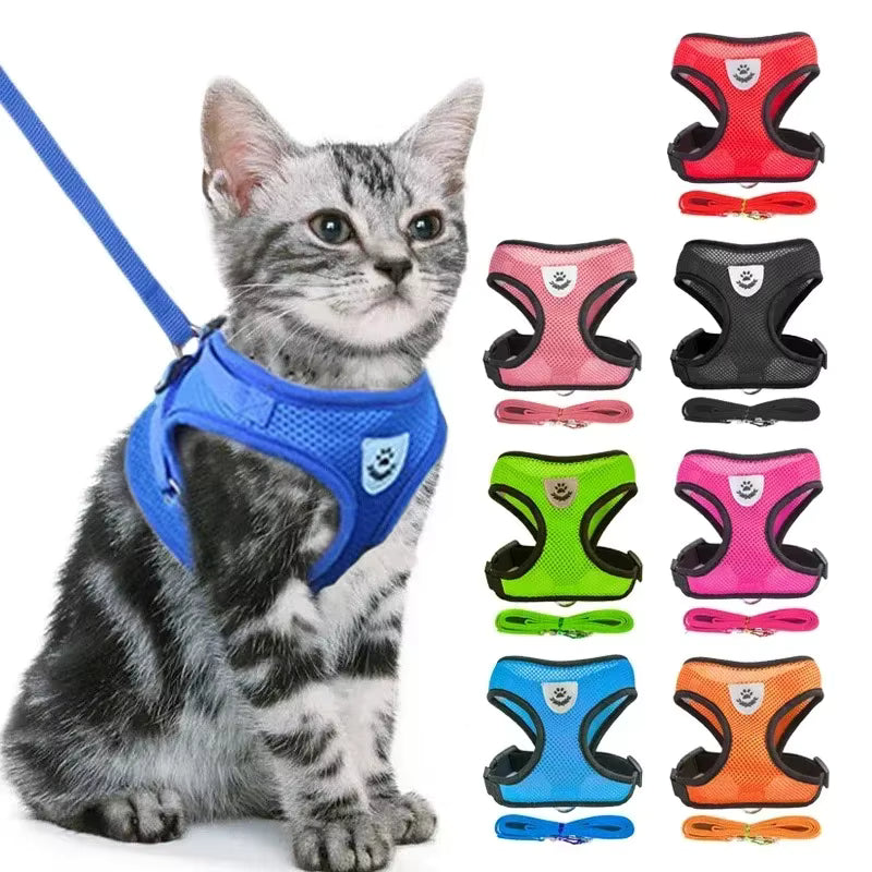 Kattenharnas